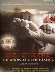 Das Wissen vom Heilen
