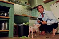 Кадр Руди – гончий поросенок