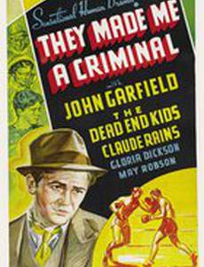 Они сделали меня преступником