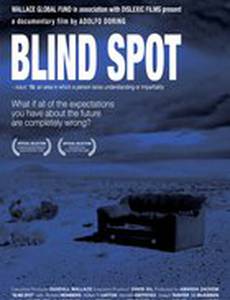 Blind Spot