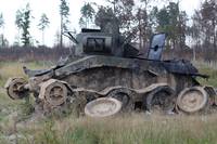 Кадр Белый тигр