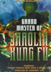 Великий магистр Шаолинь кун-фу