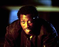 Кадр Девять жизней