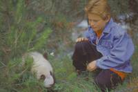 Кадр Удивительное приключение панды