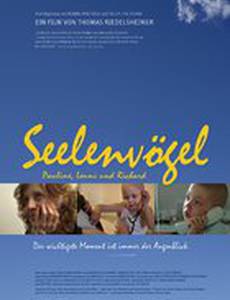 Seelenvögel