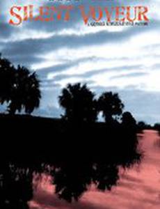 Silent Voyeur