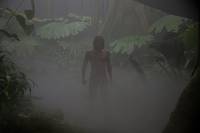 Кадр Тарзан. Легенда