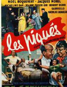 Против шерсти