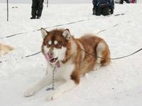 Кадр Белый плен