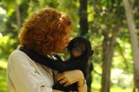 Кадр Бонобо