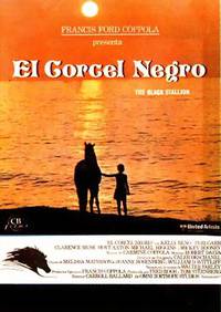 Постер Черный скакун