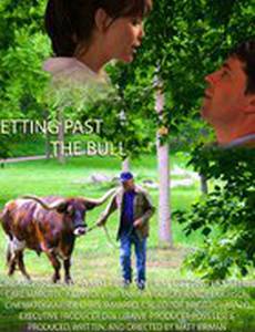 Getting Past the Bull