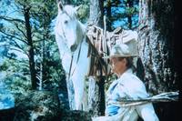 Кадр Счастливчик Люк