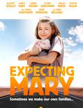 Постер из фильма "Надежды и ожидания Мэри" - 1
