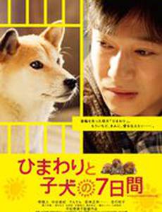 Семь дней Химавари и ее щенков