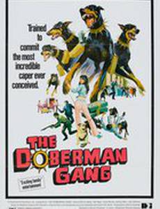 Шайка доберманов