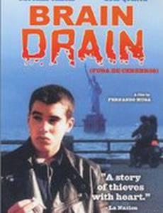 Утечка мозгов