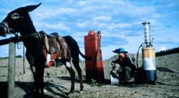 Кадр из фильма "Ленинградские ковбои встречают Моисея" - 1