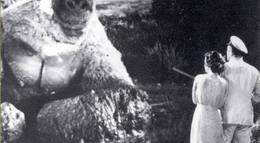 Кадр из фильма "Сын Кинг Конга" - 2