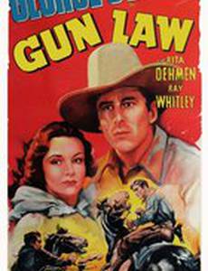 Gun Law