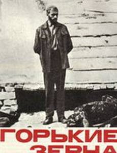 Горькие зерна