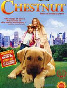 Жил-был песик