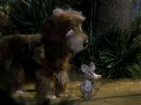 Кадр Бибигон