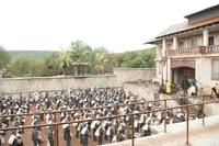 Кадр Мотылек