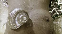 Кадр из фильма "Цвет граната" - 2