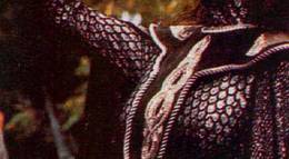 Кадр из фильма "Люди-ящеры" - 1