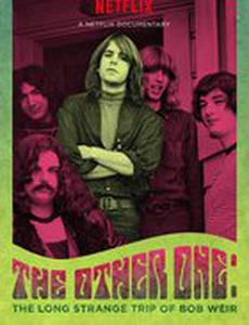 Другой: Странное длинное путешествие Боба Вира