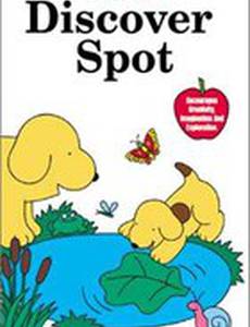 Discover Spot (видео)