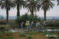 Кадр Водная жизнь