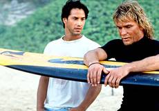 Перезапуск «На гребне волны» взорвал американский кинорынок