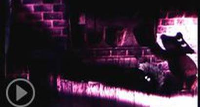 Мультфильм