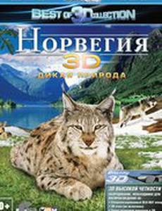 Норвегия 3D: Дикая природа (видео)