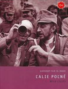 Полевые лилии