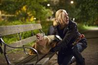 Кадр 24 часа: Проживи еще один день