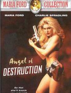 Ангел разрушения