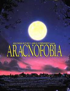 Боязнь пауков