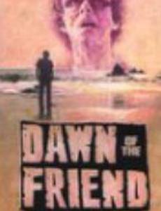 Dawn of the Friend