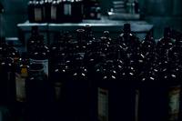 Кадр Вторжение динозавра