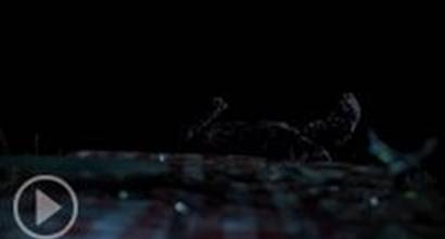 Мультфильм