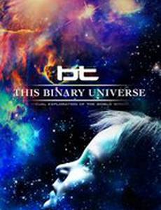 This Binary Universe