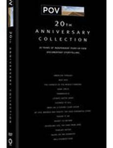 Американские наречия