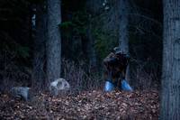 Кадр Мерзлая земля