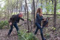 Кадр Революция