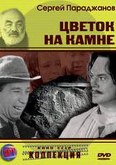 Цветок на камне