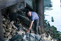 Кадр Стрелок