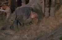 Кадр И на камнях растут деревья